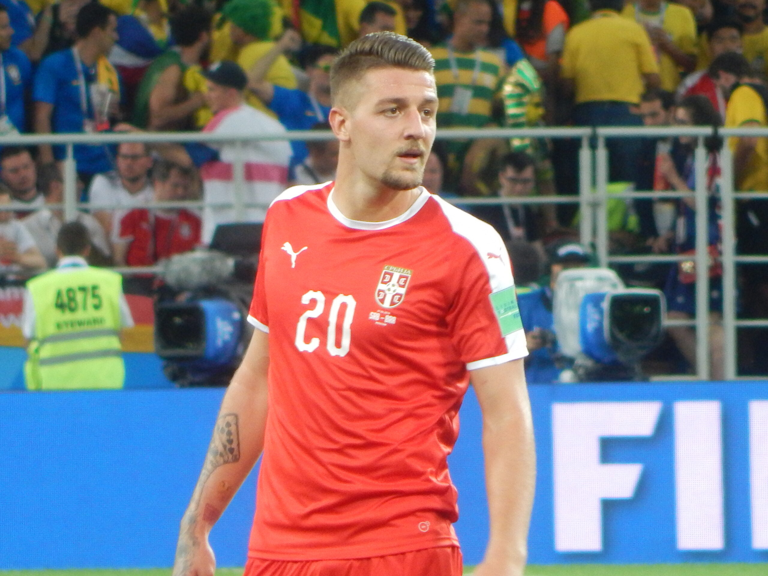 Milinkovic Savic